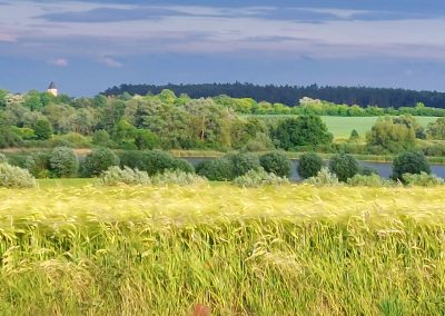 Die Umgebung in Bildern