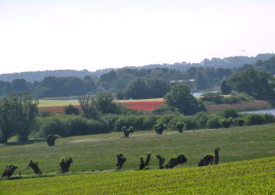 Die Umgebung in Bildern