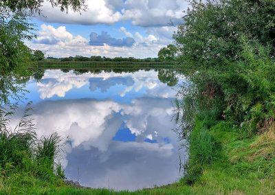 Die Umgebung in Bildern